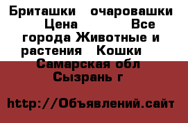 Бриташки - очаровашки.  › Цена ­ 3 000 - Все города Животные и растения » Кошки   . Самарская обл.,Сызрань г.